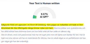 Skärmbild 2025-05-25 194127.png