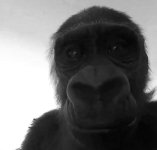 IMG_6832.jpeg
