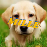 Mille96