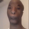 isbjornen
