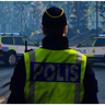Joel_boel