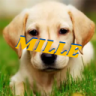 Mille96