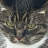 Meower321333